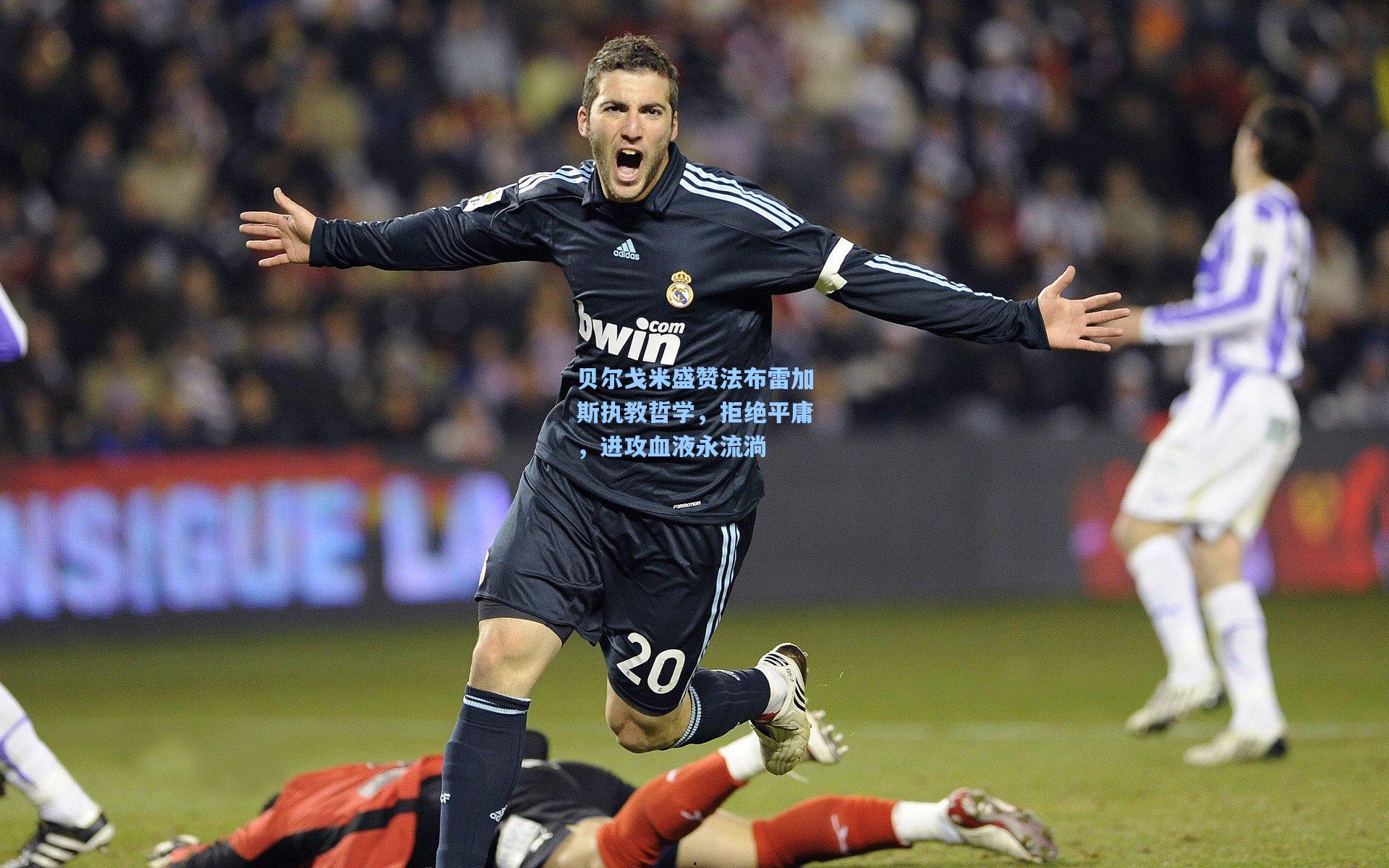 贝尔戈米盛赞法布雷加斯执教哲学，拒绝平庸，进攻血液永流淌